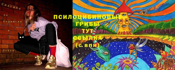 apvp Абинск