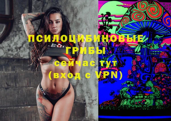 apvp Абинск