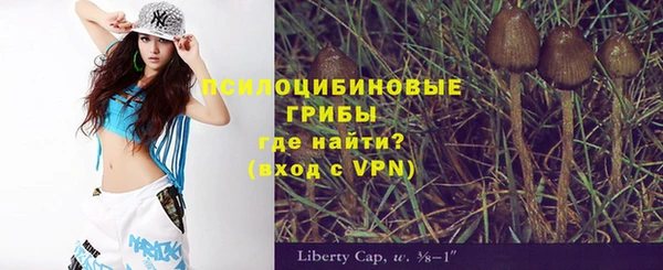 apvp Абинск