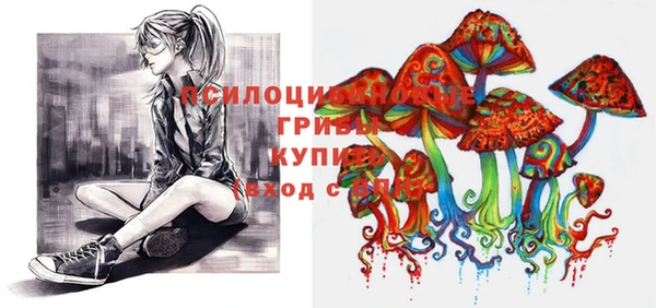 apvp Абинск