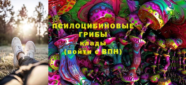 apvp Абинск